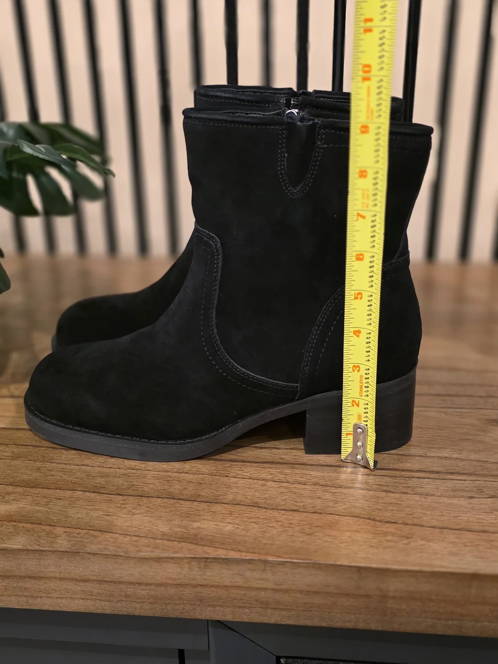 Blondo classic suede